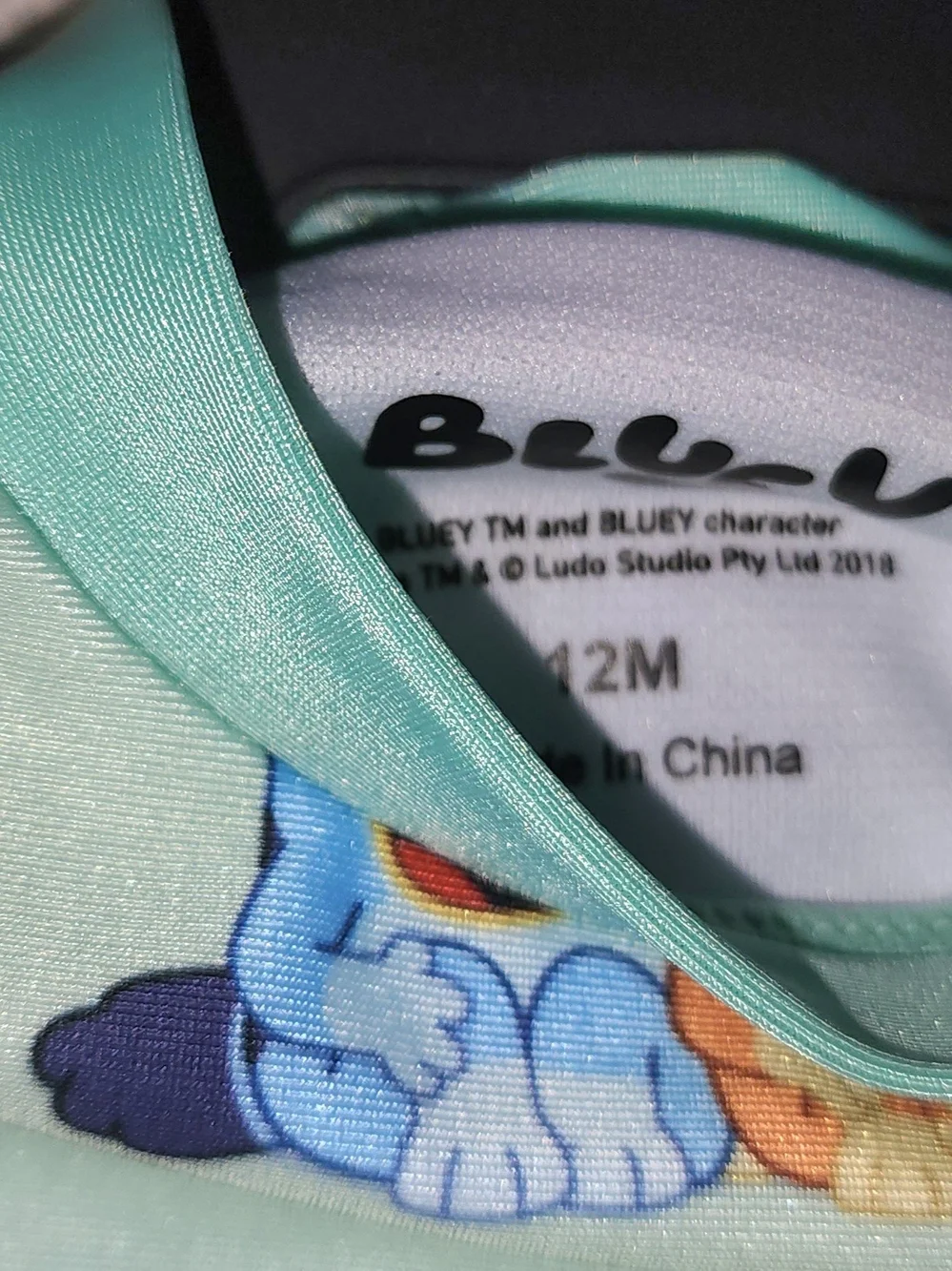 Kids Long Sleeve Bikini Set in Mint with Cartoon Pup Print Sz 12M NWT